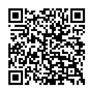 所有人才激发了身体最后的力量努力抵抗到最后二维码生成