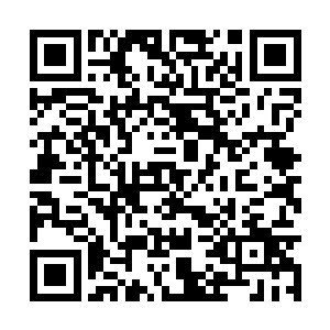 所有人用惊愕的眼神看着站在众人中心位置的两人二维码生成