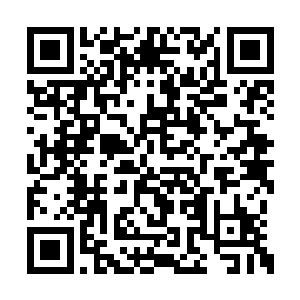 所有人的嘴巴一下子就像被塞进了几个鸭蛋一样二维码生成