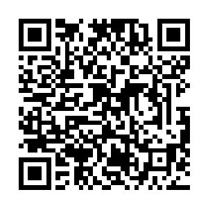 所有人的心跳都像是被雷天和妖族首领的脚步给牵引住了二维码生成