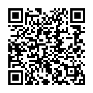 所有人的目光全部都汇集在被欧迪捧在手中的那个锦盒二维码生成