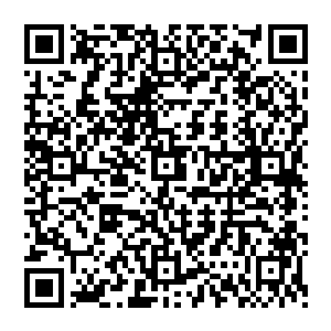 所有人的目光毫无例外都汇集在从冰神殿出来的那一群人和相拥在一起失声痛哭的母子两人身上二维码生成