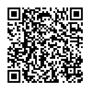 所有人的目光都望着苏族席位上那位仙姿玉骨纤细而立的绝美少女二维码生成