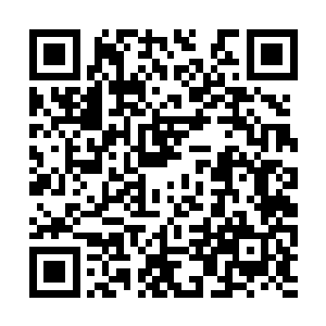 所有人的目光都集中在几个纳虚境初期的弟子身上二维码生成