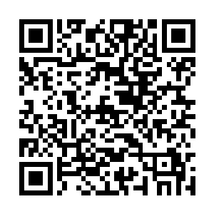 所有人的目光顿时也是落到了杨家的几个人的身上二维码生成