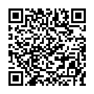 所有人的脸色在这一刻都发生了翻天地覆的变化二维码生成