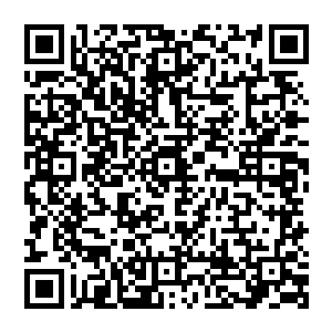 所有人能明白如果不是凌菲后来坚持给大家煮汤药让那么多人参加战斗那么伤的人就不止是那些二维码生成