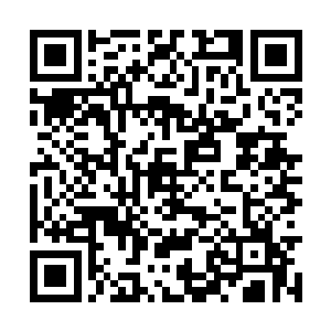 所有人脑中浮现的都是第一天军训时看到的那一幕二维码生成