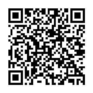 所有人见到眼前的一幕不由纷纷露出了吃惊的神色二维码生成