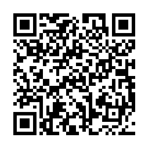 所有人都一致公认横跨新旧好莱坞时代的巨星只有一个二维码生成