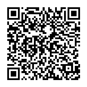 所有人都专心一致地对手头上几十公斤的文件资料进行归纳和分析二维码生成