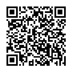所有人都以为他会将这场孤注一掷的战斗进行到最后二维码生成