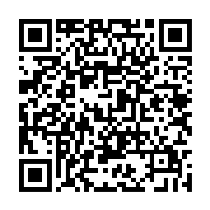 所有人都以为小女孩肯定是要挨上一巴掌了的时候二维码生成