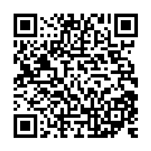 所有人都以为秦宇接下来肯定是会说到填海造城那个项目的事情二维码生成