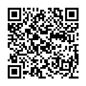 所有人都会觉得他就是派人刺杀德川皇后的绝对嫌疑人二维码生成