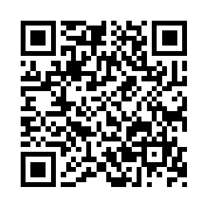 所有人都会认为那少年已经被撕得点滴不剩了二维码生成