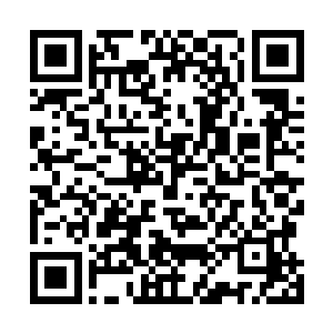 所有人都信誓旦旦的保证绝对不会对钨合金矿有半点贪念二维码生成