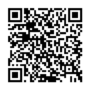 所有人都双眼放光的看着地上的花花绿绿的毒品二维码生成