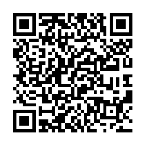 所有人都在紧张的看着电脑屏幕上逐渐滚动的进度条二维码生成