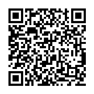 所有人都对着躺在地上痛苦翻滚的羊铁指指点点二维码生成