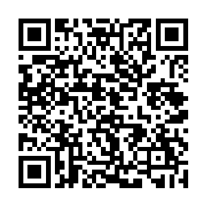 所有人都将目光集中到与他竞争的一排十一号包间上二维码生成
