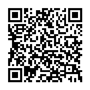 所有人都希望自己的孩子永远不要有那样的经历二维码生成