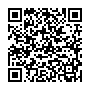 所有人都把视线集中在了五位最佳导演的提名者之中二维码生成