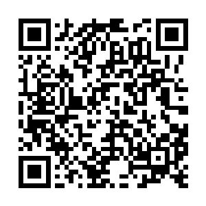 所有人都是如得大赦一样从自己的椅子上站起身来二维码生成