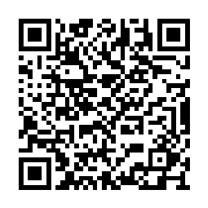 所有人都是目露较为怪异的神色看着眼前的一幕二维码生成