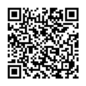 所有人都期盼这一仗能够奠定大宋百十年之后的国运……二维码生成