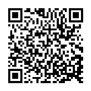 所有人都疑惑好奇的看着那条从今天早上就已经被清空了的道路二维码生成