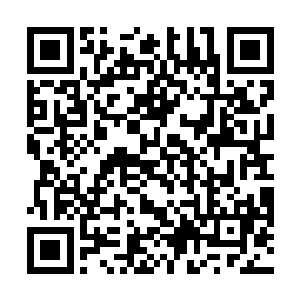 所有人都目不转睛看着拳神殿外临时搭建起来的审判台二维码生成