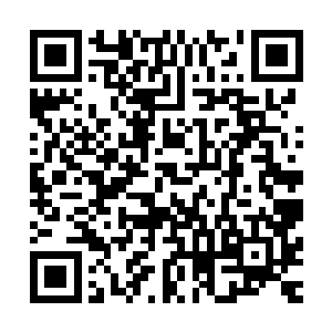 所有人都瞪大眼睛看着大力手上拿着一个圆咕隆咚的黑色物体二维码生成