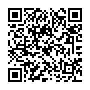 所有人都能感知到四周传来令人骨酥肉麻的震荡了二维码生成