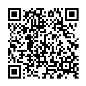 所有人都能清楚地感受到那一道道强大的气息凋零的动静二维码生成