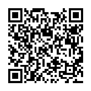 所有人都觉得我铁血　冷酷　只有你觉得我可怜　二维码生成