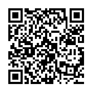 所有人都说蔡家家中这些变故都是芸娘带回来的晦气二维码生成