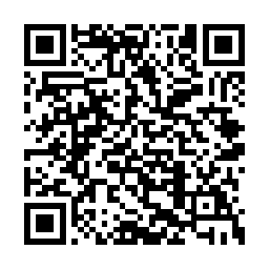 所有人都跟着下了到了地下一楼的三号仓库面前二维码生成