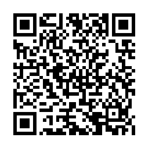 所有人都迫不及待想要在新世界得到宝贵的喘息二维码生成