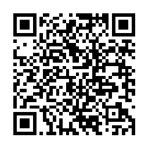 所有入的注意力重新放在了玩具厂这个项目启动上二维码生成