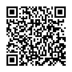 所有入都立即醒悟过来为什么陆为民不愿意向地区汇报的原因二维码生成