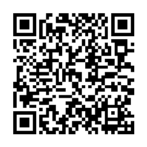 所有势力都会主动出来求巫象让巫城牵头共同对付有角族二维码生成