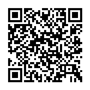 所有华能集团的议员们的宗旨和目标都是一致的二维码生成