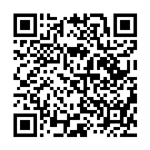 所有吸收到身体内的神力全都转化为时间功法说需要的灵力二维码生成