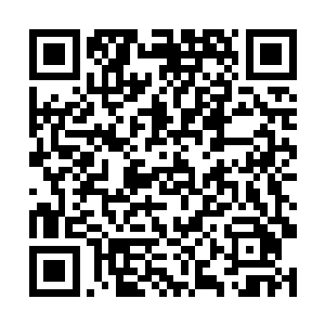 所有国内媒体都重磅报道了智为科技创造的行业神话二维码生成