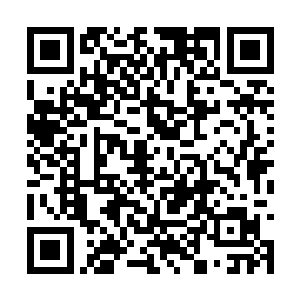 所有在昆明湖湖畔的人都听到了一声低沉的牛吼声二维码生成