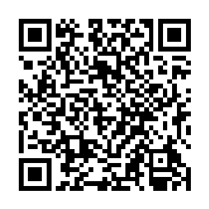 所有地府代言人都下意识的向那个帅气的精灵判官看去二维码生成