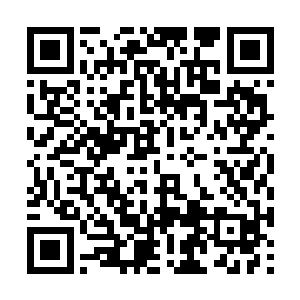 所有大佬脑海内都浮现了一个念头――冥帝出世了二维码生成