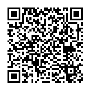 所有女生女人向往的最佳男朋友或最佳老公候选人就是四人组为首选二维码生成