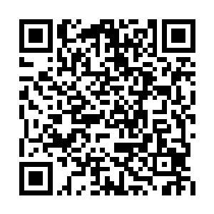 所有子嗣可都是检查一遍是否身怀古仙剑体的事二维码生成